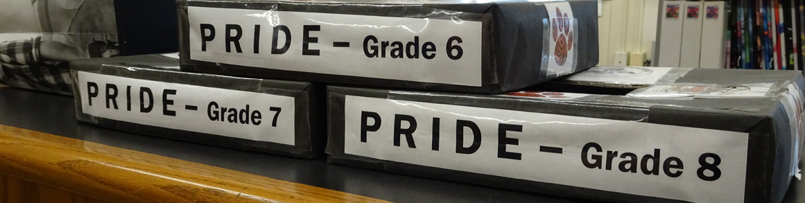 Grade 6, Grade 7 and Grade 8 PRIDE boxes